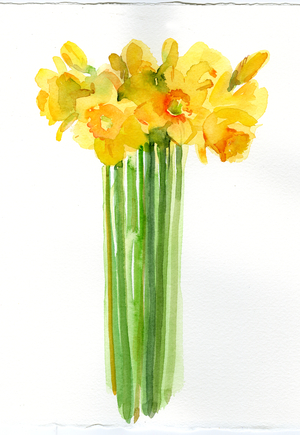 Daffodil bunch, 2014 (watercolor)