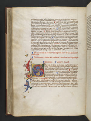 Egerton 2020 f.99v Initial with floral decoration, from 'The Carrara Herbal', c.1390-1404 (ink & colour on vellum)

