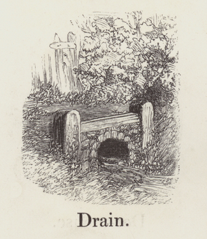 Drain (engraving)