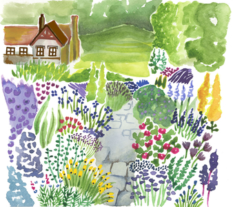 English Country Garden, 2018 (watercolour)