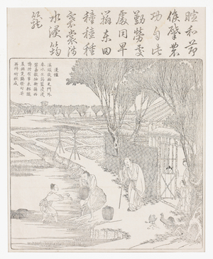 Placing seed rice in water to aid
germination., 18th century (Woodcut)