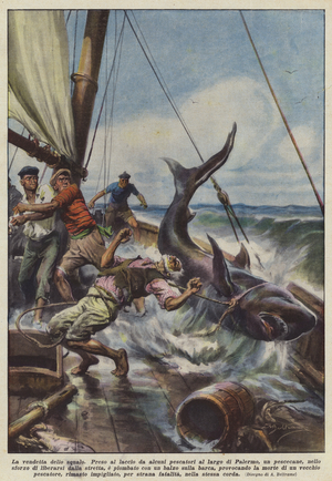 The Shark's Revenge (Colour Litho)