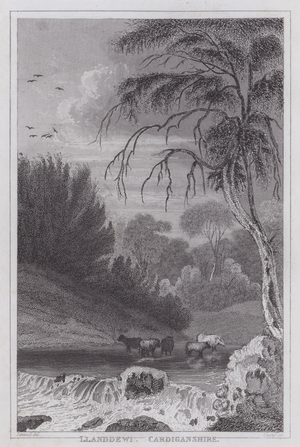 Llanddewi, Cardiganshire (engraving)