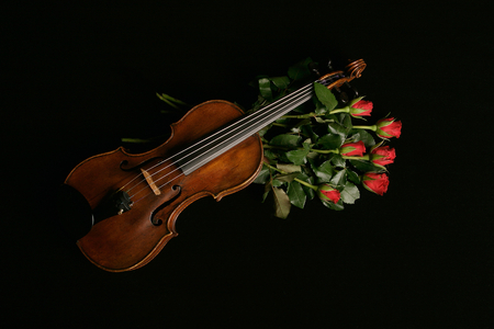 Violin with