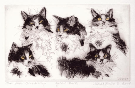 Sylvester the Cat, 2008 (drypoint)