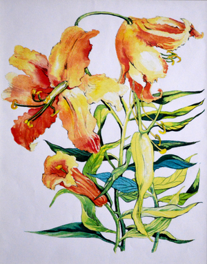 Orange Lilies 1, 1985 (watercolour)