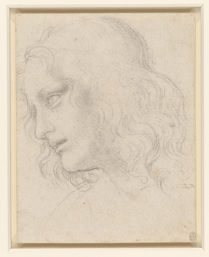 The head of St Philip, c.1495 (black chalk on paper)