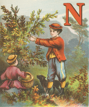 N: N stands for the Nuts; and when lessons are done, Two boys can go nutting much better than one. ,1870 (illustration)