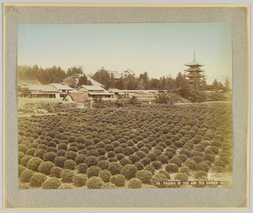 Pagoda of Toji and Tea Garden, Kyoto, Japan (hand-coloured b/w photo)