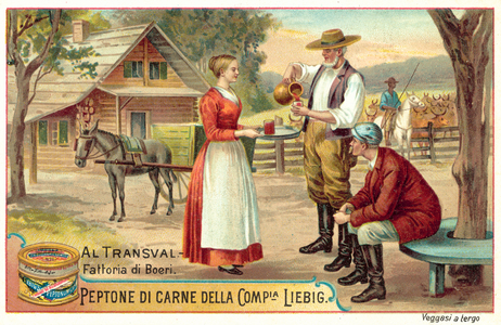 Boer farm in the Transvaal (chromolitho)