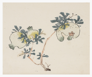 Ten Bamboo Series, 18th century (Print)