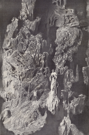 Hang Dau Go, cave in Ha Long, Vietnam (b/w photo)