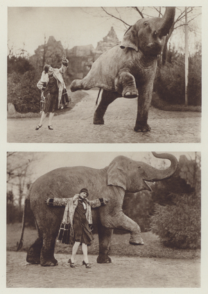 Pavlova with the Elephant at Hagenbeck Zoo in Hamburg (b/w photo)