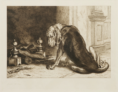 An Old Hound (etching)