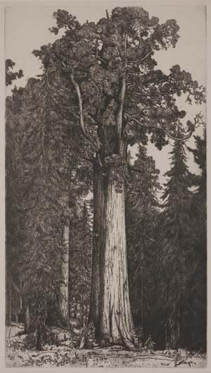 General Sherman, 1914 or 1915 (etching)
