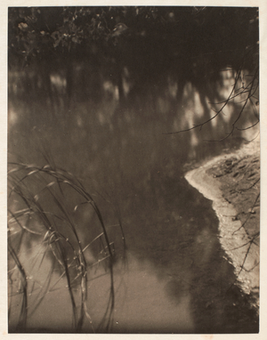 Study of trees reflected in water, c.1925-34 (platinum print)