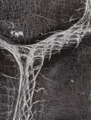 Leather handbag (b/w photo)