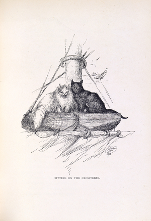 Two cats