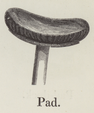 Pad (engraving)