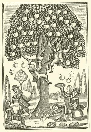 Children stealing apples (engraving)