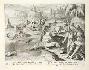 Capturing Crocodiles on the Banks of the Nile Using Tethered Pigs as Bait, plate 87, illustration from 'Venationes, Ferarum, Avium, Piscium' (Of Hunting: Wild Beasts, Birds, Fish), engraved by Jan Collaert (1566-1628), pub. by Phillipus Gallaeus, Amsterdam (engraving)

