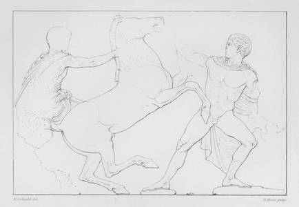 Horsemen restraining a rearing horse, ancient Greek marble relief from the Parthenon Frieze (engraving)