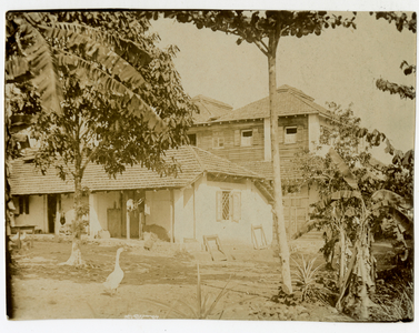 Rear view of bungalow, Gikiyanakanda plantation, c. 1912 (b/w photo)