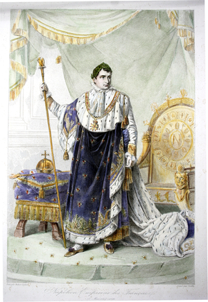 Napoleon I in Emperor's Robes