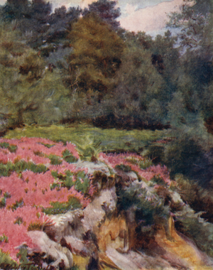 The New Forest: A Gravel Pit Head at Royden (colour litho)