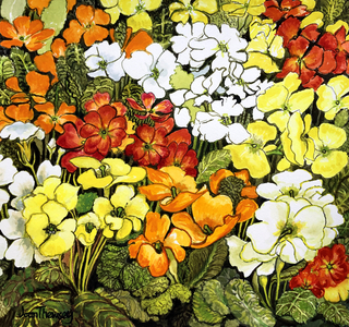 Primrose Border, white, yellow, orange and red primroses (watercolour)