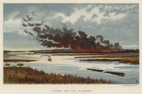Mexico: Forest on fire, Alabama (colour litho)