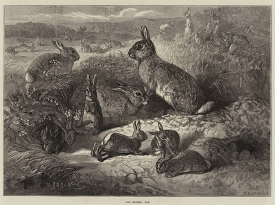 The Months, May (engraving)