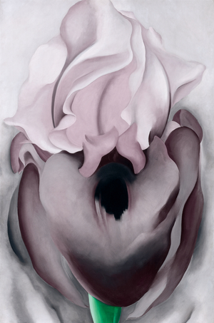 Black Iris VI, 1936 (oil on canvas)