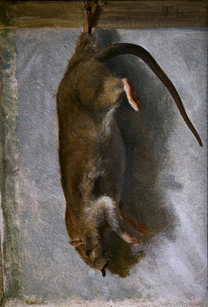 Study of a Dead Rat, 1841 (oil on paper mounted on canvas)