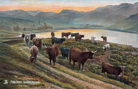 In the Highlands (colour photo)