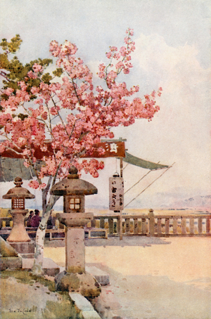 The Pink Cherry (colour litho)