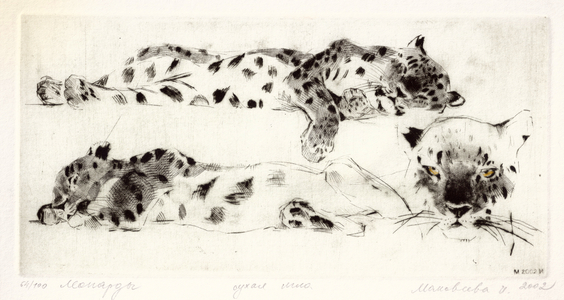 Leopards, 2002 (drypoint)