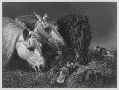 The Scanty Meal, from the picture in the Vernon Gallery (engraving)