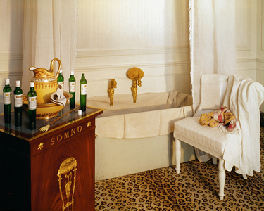 The bathroom of Emperor Napoleon I Bonaparte in Versailles, France (photo)