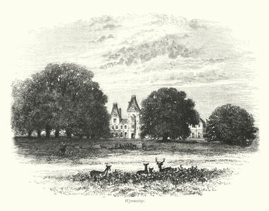 Wynnestay (engraving)