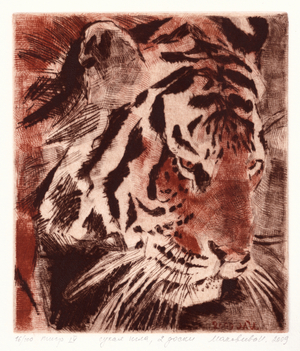 Tiger, 2009 (drypoint)
