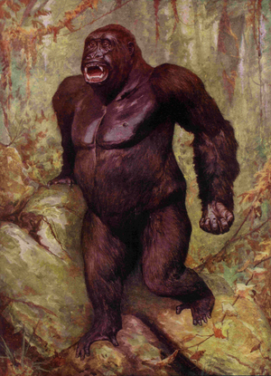 Gorillas Book Plate, USA, 1940s