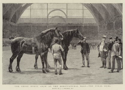 The Shire Horse Show at the Agricultural Hall, the Final Duel (engraving)