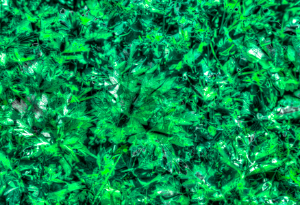 Abstract, Leaves, Creative, Two-tone, Black, Green, All over background, Pattern, Design, artistic, Germany, Europe