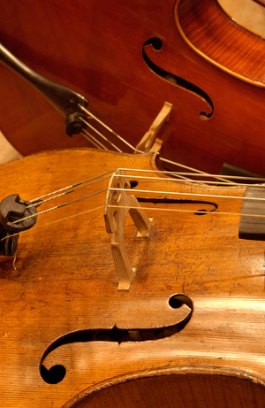 Two cellos showing F-holes, cropped.
