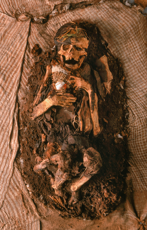 A carefully unwrapped mummy bundle. The deceased was buried wearing a feather headress., 2001 (photo)