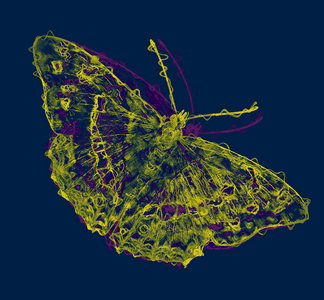 yellow butterfly,2020,(mixed media)