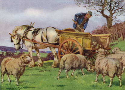 Illustration for My Farm (colour litho)