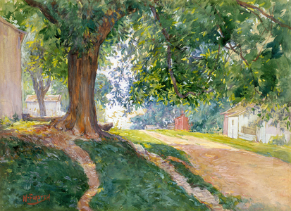 The Constitutional Elm (watercolour and gouache on off-white paper)