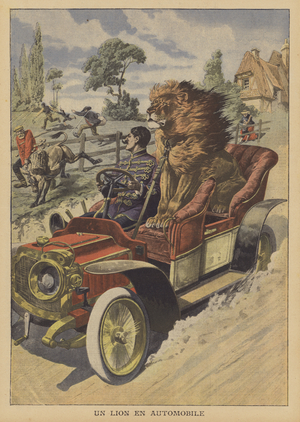 A German lion tamer taking one of his animals for a drive in his car (colour litho)